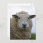 Produkt anpassen postkarte (Vorne/Hinten)