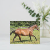 Produkt anpassen postkarte (Stehend Vorderseite)