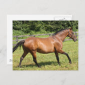 Produkt anpassen postkarte (Vorne/Hinten)