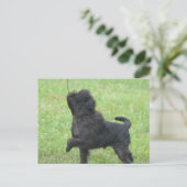 Produkt anpassen postkarte (Stehend Vorderseite)