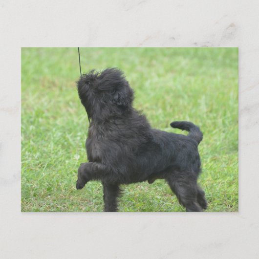 Produkt anpassen postkarte (Vorderseite)