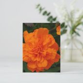 Produkt anpassen postkarte (Stehend Vorderseite)