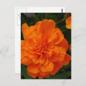 Produkt anpassen postkarte (Vorne/Hinten)