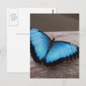 Produkt anpassen postkarte (Vorne/Hinten)