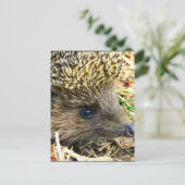 Produkt anpassen postkarte (Stehend Vorderseite)