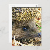 Produkt anpassen postkarte (Vorne/Hinten)