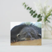 Produkt anpassen postkarte (Stehend Vorderseite)