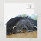 Produkt anpassen postkarte (Vorne/Hinten)