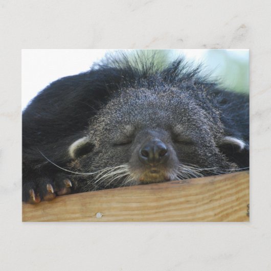 Produkt anpassen postkarte (Vorderseite)