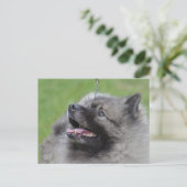 Produkt anpassen postkarte (Stehend Vorderseite)