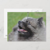 Produkt anpassen postkarte (Vorne/Hinten)