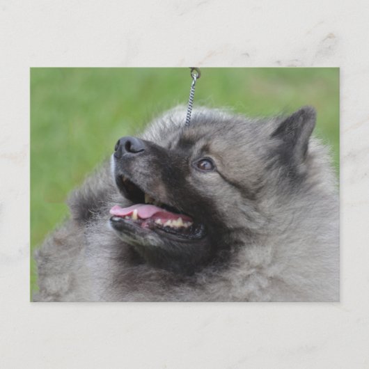 Produkt anpassen postkarte (Vorderseite)