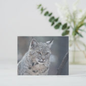 Produkt anpassen postkarte (Stehend Vorderseite)