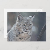 Produkt anpassen postkarte (Vorne/Hinten)