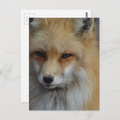 Produkt anpassen postkarte (Vorne/Hinten)