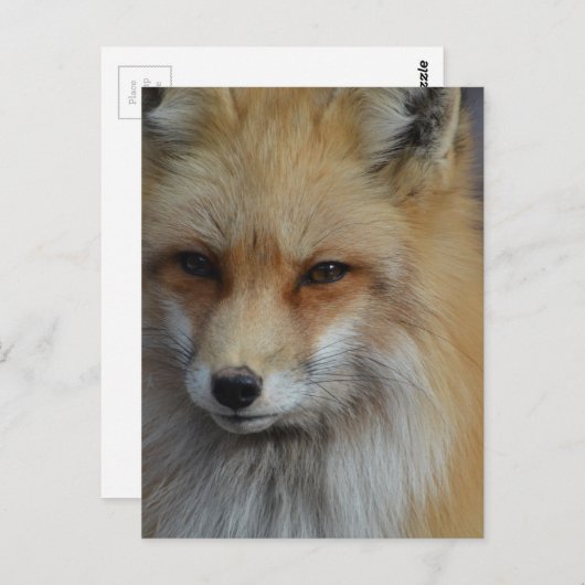 Produkt anpassen postkarte (Vorne/Hinten)