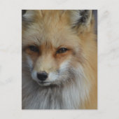 Produkt anpassen postkarte (Vorderseite)