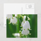 Produkt anpassen postkarte (Vorne/Hinten)