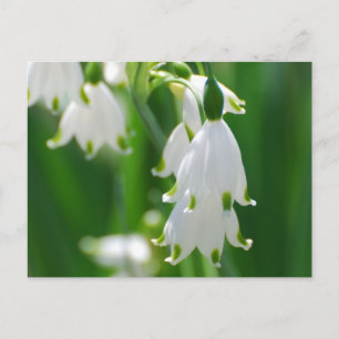 Produkt anpassen postkarte
