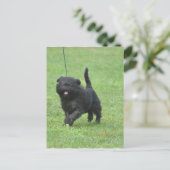 Produkt anpassen postkarte (Stehend Vorderseite)