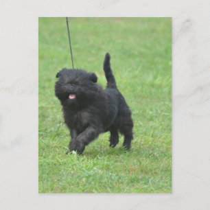 Produkt anpassen postkarte