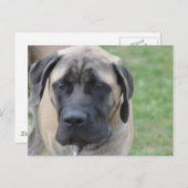 Produkt anpassen postkarte (Vorne/Hinten)