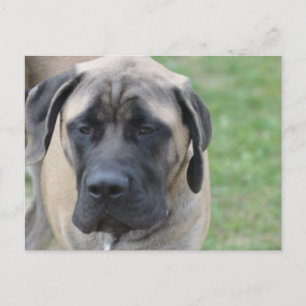 Produkt anpassen postkarte