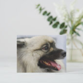 Produkt anpassen postkarte (Stehend Vorderseite)