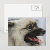 Produkt anpassen postkarte (Vorne/Hinten)