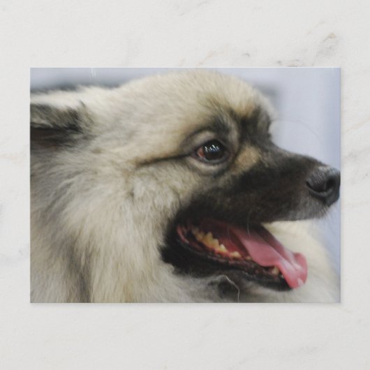 Produkt anpassen postkarte (Vorderseite)