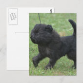 Produkt anpassen postkarte (Vorne/Hinten)
