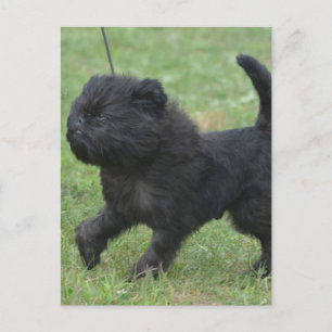 Produkt anpassen postkarte