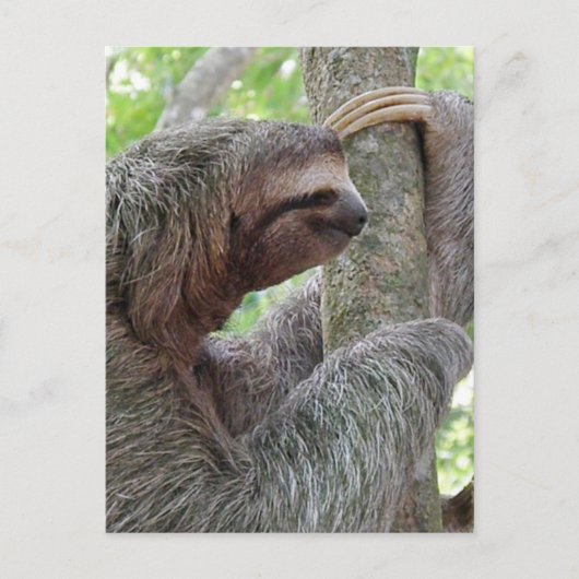 Produkt anpassen postkarte (Vorderseite)