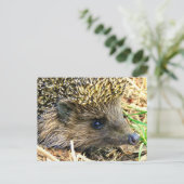 Produkt anpassen postkarte (Stehend Vorderseite)