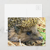 Produkt anpassen postkarte (Vorne/Hinten)