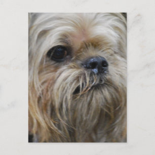 Produkt anpassen postkarte