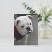 Produkt anpassen postkarte (Stehend Vorderseite)