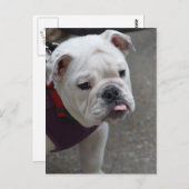 Produkt anpassen postkarte (Vorne/Hinten)