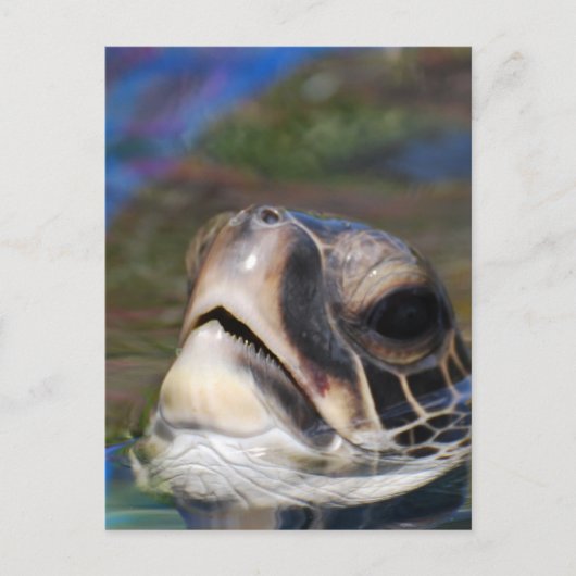 Produkt anpassen postkarte (Vorderseite)