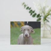 Produkt anpassen postkarte (Stehend Vorderseite)