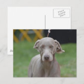 Produkt anpassen postkarte (Vorne/Hinten)