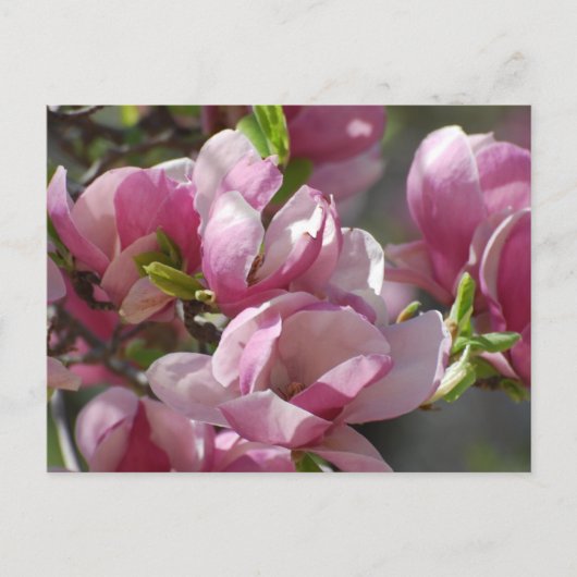 Produkt anpassen postkarte (Vorderseite)