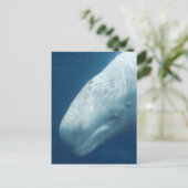 Produkt anpassen postkarte (Stehend Vorderseite)