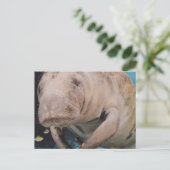 Produkt anpassen postkarte (Stehend Vorderseite)