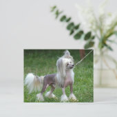 Produkt anpassen postkarte (Stehend Vorderseite)