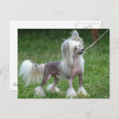 Produkt anpassen postkarte (Vorne/Hinten)