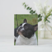 Produkt anpassen postkarte (Stehend Vorderseite)