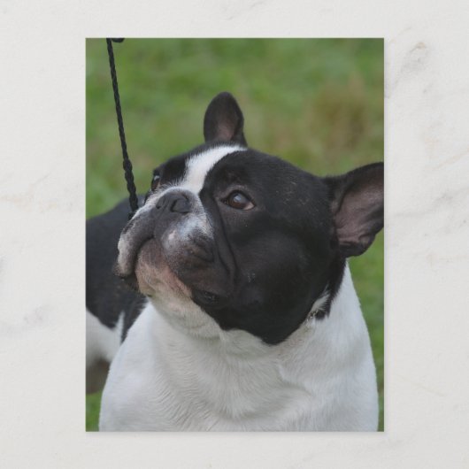 Produkt anpassen postkarte (Vorderseite)