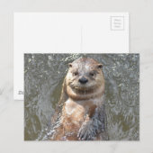 Produkt anpassen postkarte (Vorne/Hinten)