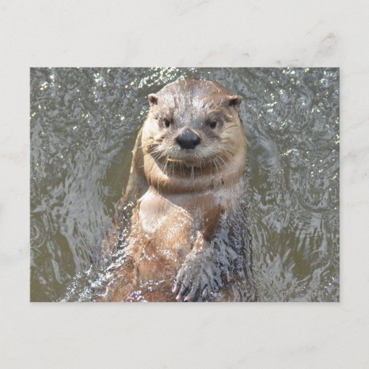 Produkt anpassen postkarte (Vorderseite)